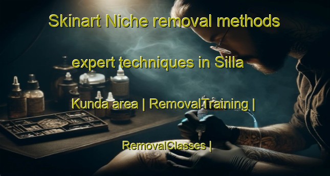 Skinart Niche removal methods expert techniques in Silla Kunda area | RemovalTraining | RemovalClasses | SkinartTraining-Gambia